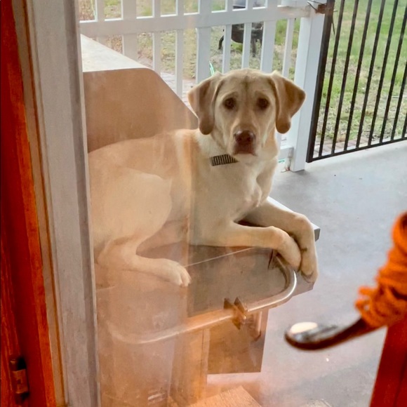 Meet your Posher, Patrick - Picture 1 of 1